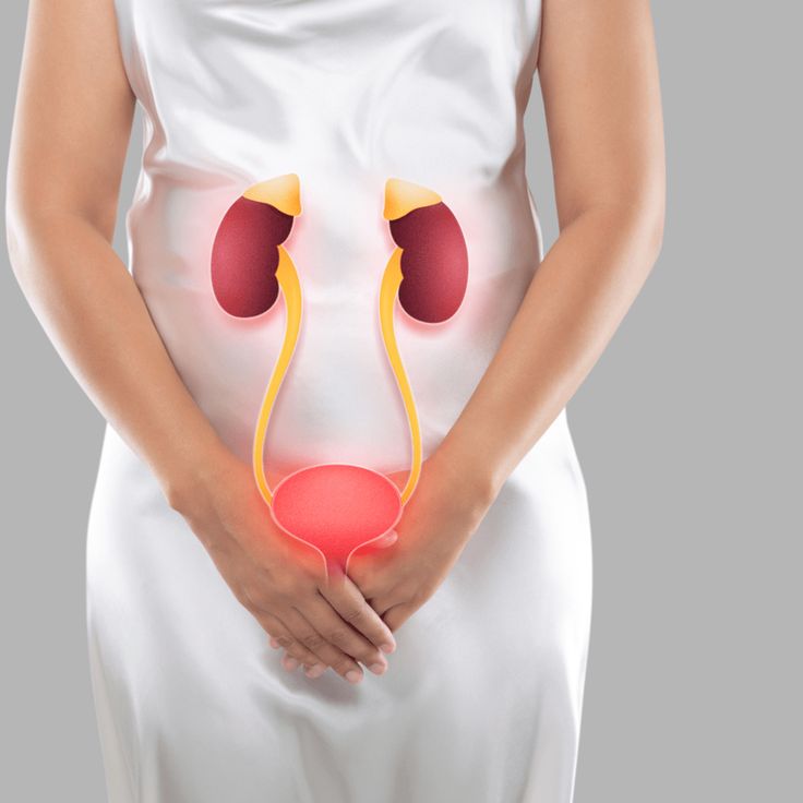 المسالك البولية