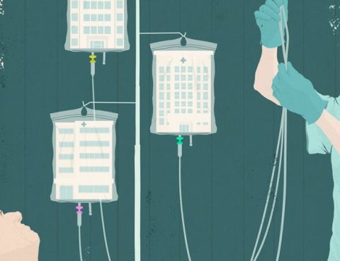 الفيتامينات