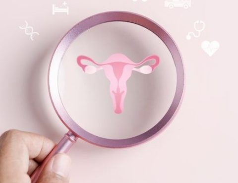 صحة المبايض