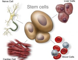 Stem cell treatments Thailand