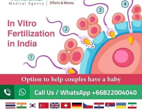 Best In Vitro Fertilization Success Rate in India