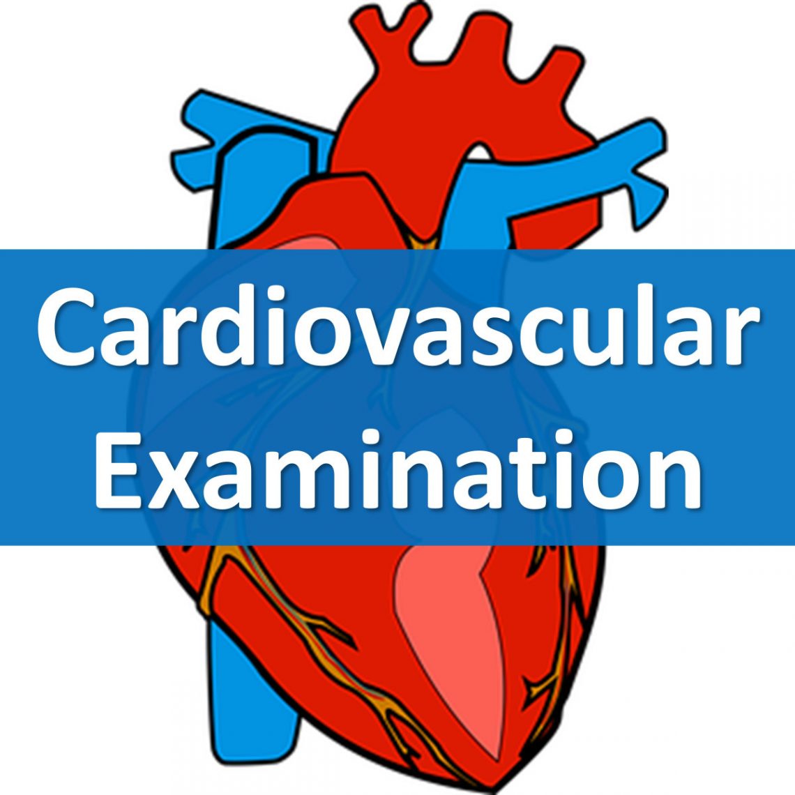 Cardiovascular Examination in Thailand