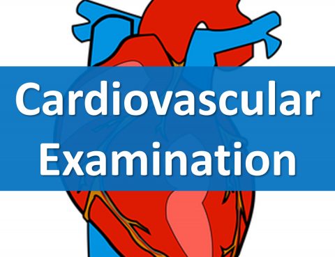 Cardiovascular Examination in Thailand