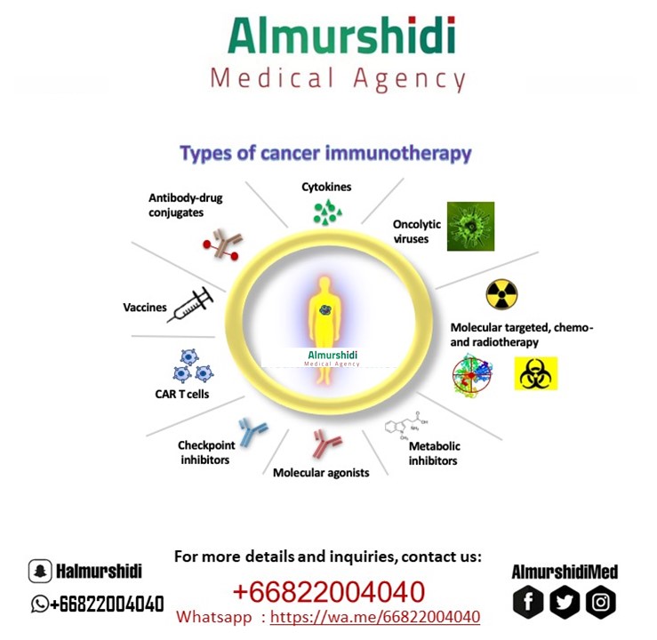 Immunotherapy and Immune System