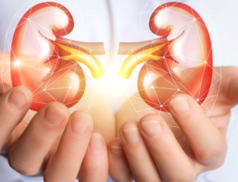 kidney treatment