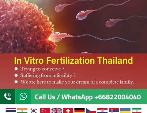 vitro_fertilization