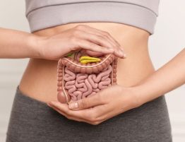 The Digestive System