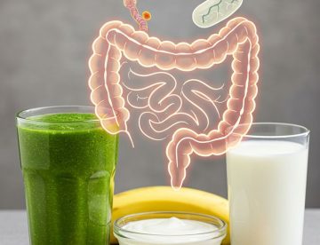 The Digestive System